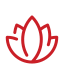 flower Lotus - Kalari Ayurveda